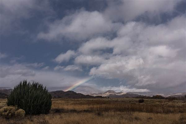 Pyramid Lake (1/26/2015)