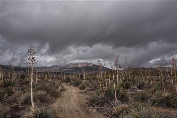 Pyramid Lake (1/26/2015)