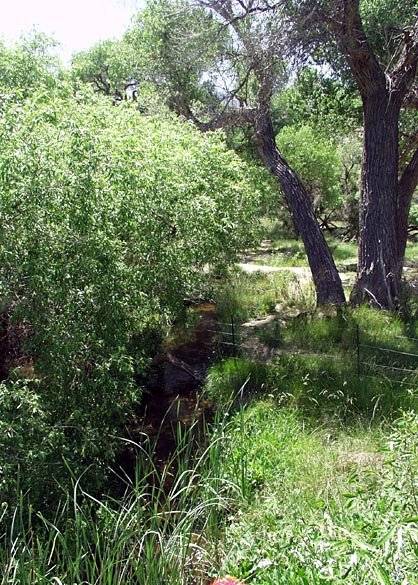 Canebrake Ecological Reserve - California Department of Fish and Wildlife (CDFW) (12/31/2003)