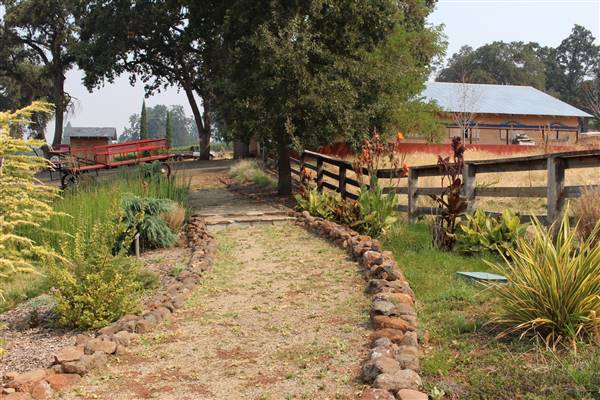 Anselmo Vineyard (10/29/2015)