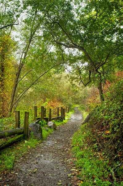Andrew Molera State Park (SP) (1/8/2016 - Credits: http://www.parks.ca.gov/ImageGallery/?page_id=582)