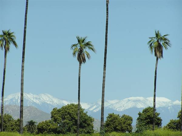 California Citrus State Historic Park (SHP) (1/14/2016 - Credits: http://www.parks.ca.gov/ImageGallery/?page_id=649)
