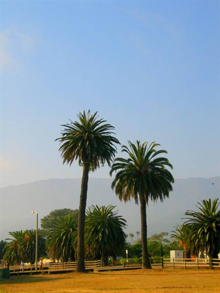 Carpinteria State Beach (SB) (1/14/2016 - Credits: http://www.parks.ca.gov/ImageGallery/?page_id=599)