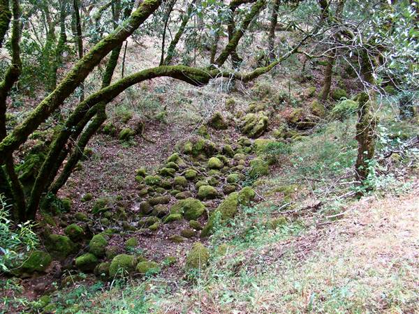 Trione-Annadel State Park (SP) - http://stateparkclosurestrip.blogspot.com/ (3/2/2016 - Credits: Photos courtesy of Lucy D'Mot)