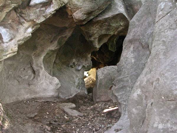 Castle Rock State Park (SP) - http://stateparkclosurestrip.blogspot.com/ (3/2/2016 - Credits: Photo courtesy of Lucy D'Mot)