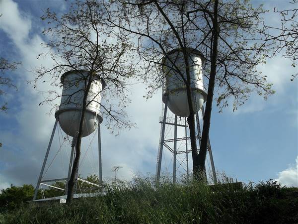 Colusa-Sacramento River State Recreation Area (SRA) - http://stateparkclosurestrip.blogspot.com/ (3/2/2016 - Credits: Photo courtesy of Lucy D'Mot)