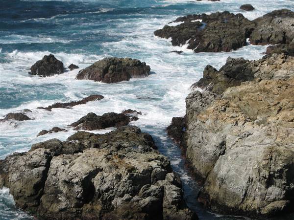 Garrapata State Park (SP) - http://stateparkclosurestrip.blogspot.com/ (3/2/2016 - Credits: Photo courtesy of Lucy D'Mot)