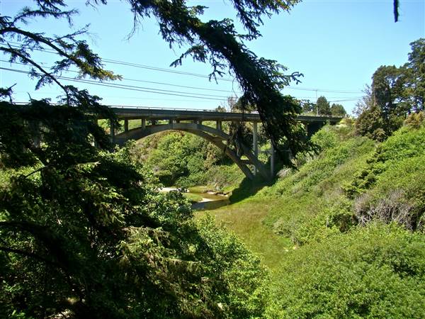Jug Handle Creek Bridge - Highway 1 - http://stateparkclosurestrip.blogspot.com/ (3/2/2016 - Credits: Photo courtesy of Lucy D'Mot)