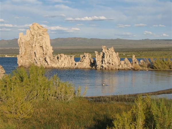 Mono Lake Tufa State Natural Reserve (SNR) / South Tufa Lake - Inyo National Forest (NF) - http://stateparkclosurestrip.blogspot.com/ (3/2/2016 - Credits: Photo courtesy of Lucy D'Mot)