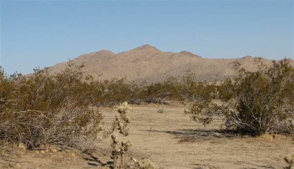 Saddleback Butte State Park (SP) - http://stateparkclosurestrip.blogspot.com/ (3/3/2016 - Credits: Photo courtesy of Lucy D'Mot)