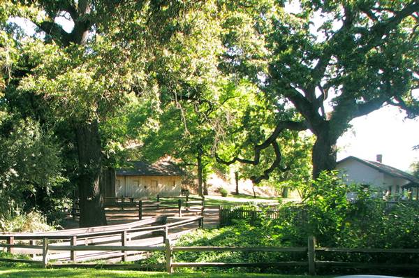 William B. Ide Adobe State Historic Park (SHP) - http://stateparkclosurestrip.blogspot.com/ (3/3/2016 - Credits: Photo courtesy of Lucy D'Mot)