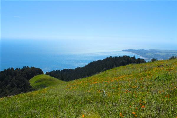 Mount Tamalpais State Park (SP) (3/9/2016 - Credits: Photo courtesy of Marin Convention & Visitors Bureau)