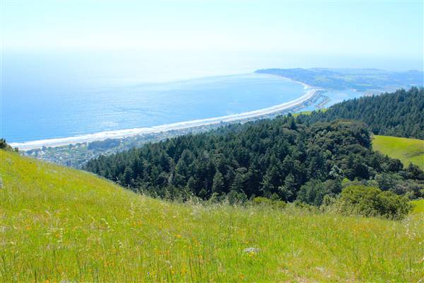 Mount Tamalpais State Park (SP) (3/9/2016 - Credits: Photo courtesy of Marin Convention & Visitors Bureau)