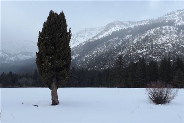 Grover Hot Springs State Park (SP) (3/14/2016 - Credits: Photo courtesy of Linda Frost)