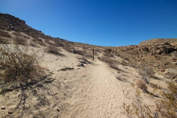 Saddleback Butte State Park (SP) - Photo courtesy of Josh McNair, http://californiathroughmylens.com/about/ (3/24/2016 - Credits: Photo courtesy of Josh McNair, http://californiathroughmylens.com/about/)