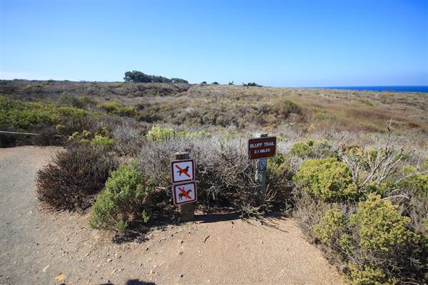 Montana de Oro State Park (SP) - Photo courtesy of Josh McNair, californiathroughmylens.com (3/24/2016 - Credits: Photo courtesy of Josh McNair, californiathroughmylens.com)