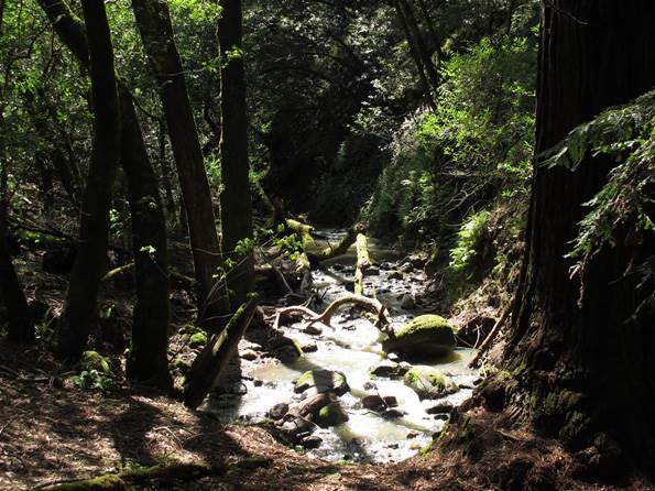 Trione-Annadel State Park (SP) - Photo courtesy of Tim Sartoris (4/7/2016 - Credits: Photo courtesy of Tim Sartoris)