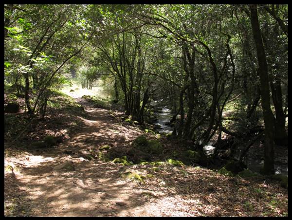 Trione-Annadel State Park (SP) - Photo courtesy of Tim Sartoris (4/7/2016 - Credits: Photo courtesy of Tim Sartoris)