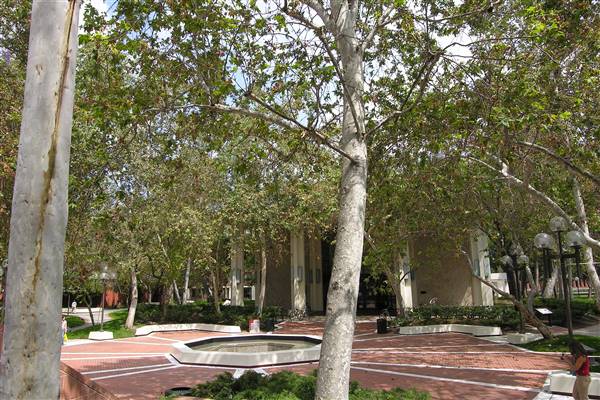 University of Southern California - USC (4/15/2016 - Credits: Photo by Robin Citrin)