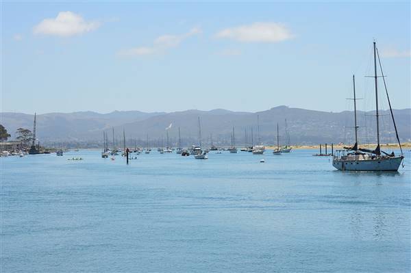 Morro Bay State Park (SP) (8/7/2015 - Credits: Photo by Blake Carroll)