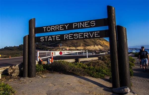Torrey Pines State Natural Reserve (SNR) (5/15/2015 - Credits: By Michael varun (Own work) [CC BY-SA 4.0 (http://creativecommons.org/licenses/by-sa/4.0)], via Wikimedia Commons)