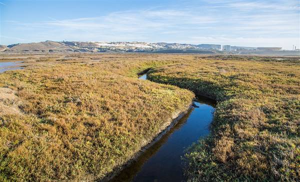 Border Field State Park (SP) (12/14/2014 - Credits: By Tony Webster from Portland, Oregon, United States (Border Field State Park and Tijuana) [CC BY 2.0 (http://creativecommons.org/licenses/by/2.0)], via Wikimedia Commons)