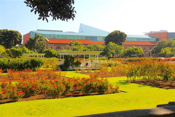 Exposition Park Rose Garden (4/15/2012 - Credits: By MikeJiroch (Own work) [CC BY-SA 3.0 (http://creativecommons.org/licenses/by-sa/3.0)], via Wikimedia Commons)