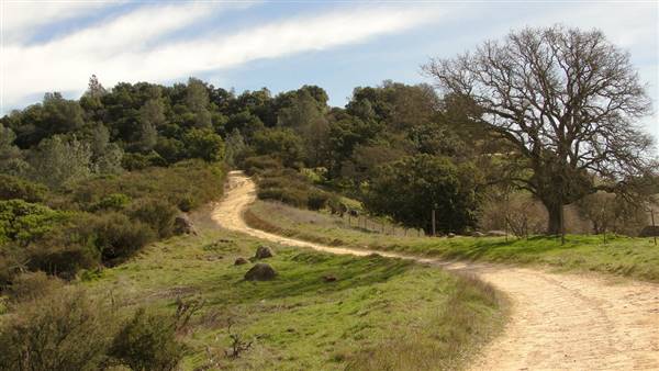 Mount Diablo State Park (SP) (2/5/2011 - Credits: "The Diablo Trail Mount Diablo State Park" by Miguel Vieira (CC BY 2.0) [https://creativecommons.org/licenses/by/2.0/legalcode] https://www.flickr.com/photos/miguelvieira/)