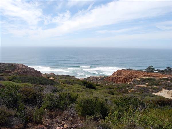 Torrey Pines State Natural Reserve (SNR) (4/4/2012 - Credits: "Torrey Pines State Reserve" by Daniel Orth (CC BY-ND 2.0) [https://creativecommons.org/licenses/by-nd/2.0/legalcode] https://www.flickr.com/photos/danorth1/)