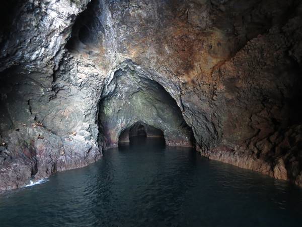 Channel Islands National Park - Santa Rosa Island (5/11/2014 - Credits: "Santa Rosa Island" by Edward Stojakovic (CC BY 2.0)[https://creativecommons.org/licenses/by/2.0/legalcode]https://www.flickr.com/photos/akasped/)