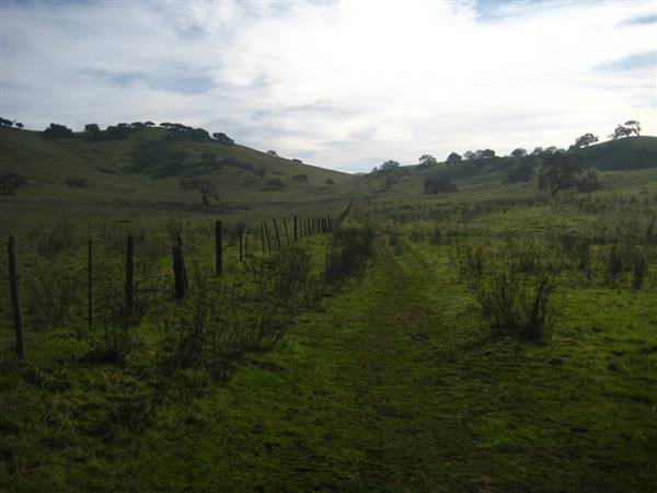 Pacheco State Park (SP) and Windmill Farm / Wind Energy (1/10/2010 - Credits: "Departure" by Joe Navratil (CC BY-NC-ND 2.0)[https://creativecommons.org/licenses/by-nc-nd/2.0/legalcode]https://www.flickr.com/photos/navratil/)