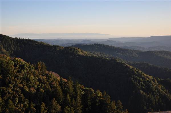 Castle Rock State Park (SP) (12/4/2011 - Credits: "Castle Rock State Park, Santa Cruz" by Sourav Das (CC BY 2.0)[https://creativecommons.org/licenses/by/2.0/legalcode]https://www.flickr.com/photos/souravdas/)
