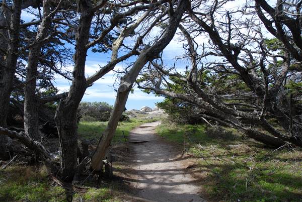 Point Lobos State Natural Reserve (SNR) (3/21/2008 - Credits: California Travel and Tourism Commision / Blaise (2008))