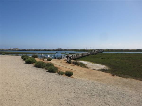 Bolsa Chica Ecological Reserve - California Department of Fish & Wildlife (CDFW) (6/15/2013 - Credits: "Bolsa Chica Camping 2013-110.JPG" by Flickr User: djfrantic (CC BY-NC-ND 2.0)[https://creativecommons.org/licenses/by-nc-nd/2.0/legalcode]https://www.flickr.com/photos/djfrantic/)