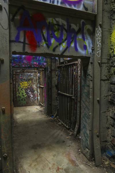 Griffith Park - Old LA Zoo (1/20/2015 - Credits: "P1050771" by Anna Aran (CC BY-NC-ND 2.0)[https://creativecommons.org/licenses/by-nc-nd/2.0/legalcode]https://www.flickr.com/photos/127505573@N02/)