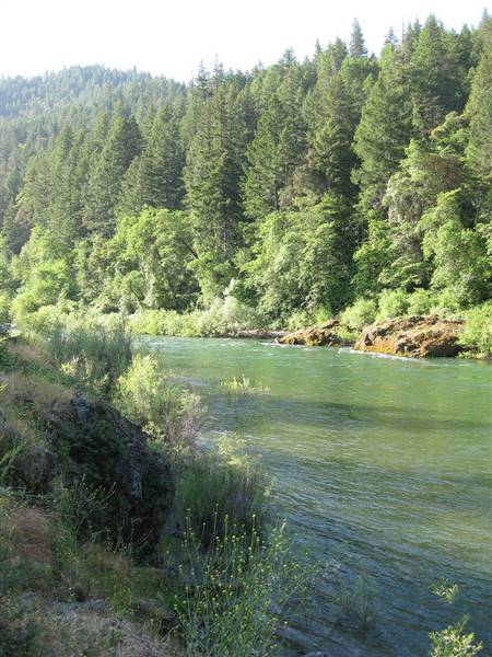 Trinity River (5/24/2009 - Credits: "Trinity River Camping 2009" by Eric Fredericks (CC BY-SA 2.0)[https://creativecommons.org/licenses/by-sa/2.0/legalcode]https://www.flickr.com/photos/neighborhoods/)