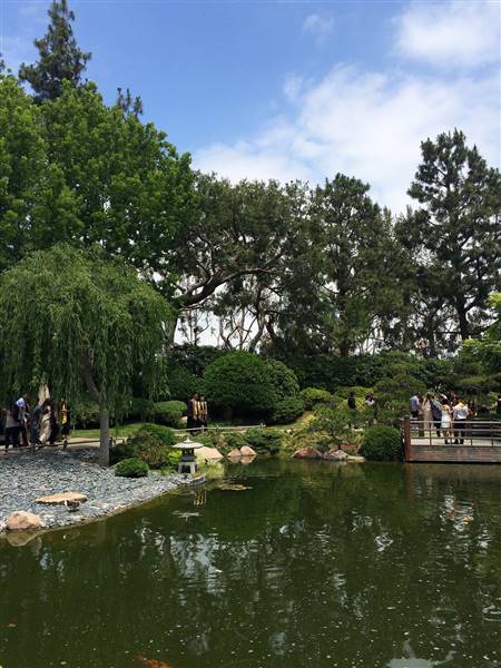 Earl Burns Miller Japanese Garden - California State University Long Beach - CSULB (5/15/2016 - Credits: "Untitled" by Sergei Gussev (CC BY 2.0)[https://creativecommons.org/licenses/by/2.0/legalcode]https://www.flickr.com/photos/sergeigussev/)