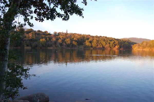 Lake Ralphine (2/10/2008 - Credits: "Lake Ralphine 005" by Ren Norman (CC BY-NC-ND 2.0)[https://creativecommons.org/licenses/by-nc-nd/2.0/legalcode]https://www.flickr.com/photos/ren_norman/)