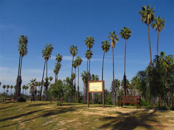 California Citrus State Historic Park (SHP) (3/24/2013 - Credits: "California Citrus State Historic Park" by Flickr User: Jasperdo (CC BY-NC-ND 2.0)[https://creativecommons.org/licenses/by-nc-nd/2.0/legalcode]https://www.flickr.com/photos/mytravelphotos/)