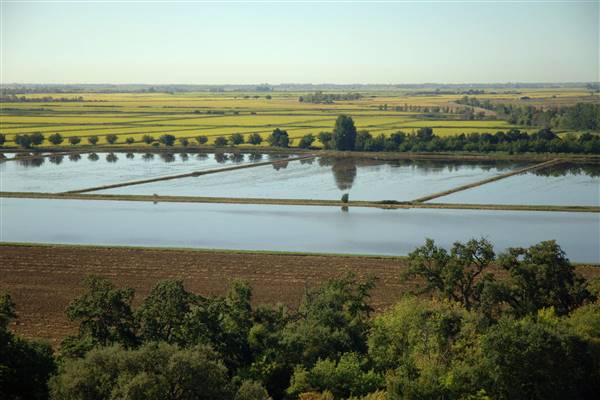 Sacramento-San Joaquin Delta (10/5/2016 - Credits: Photo courtesy of California Department of Water Resources)