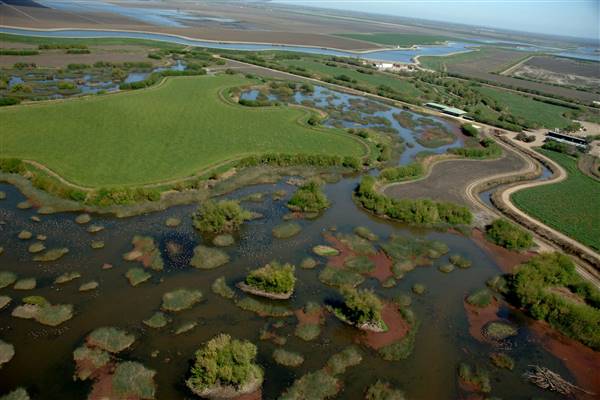Sacramento-San Joaquin Delta (10/5/2016 - Credits: Photo courtesy of California Department of Water Resources)