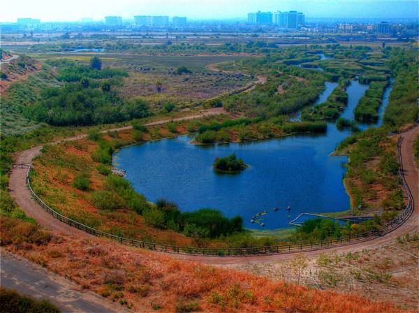 Ballona Wetlands Ecological Reserve - California Department of Fish & Wildlife (CDFW) (5/10/2009 - Credits: "Ballona Wetlands" by dailymatador (CC BY-NC-ND 2.0)[https://creativecommons.org/licenses/by-nc-nd/2.0/legalcode] https://www.flickr.com/photos/dailymatador/)
