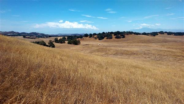 Santa Rosa Plateau Ecological Reserve - Riverside County & California Department of Fish & Wildlife (CDFW) (7/26/2014 - Credits: "Santa Rosa Plateau Ecological Reserve" by Roy Randall (CC BY-NC-ND 2.0)[https://creativecommons.org/licenses/by-nc-nd/2.0/legalcode]https://www.flickr.com/photos/zeroy/)
