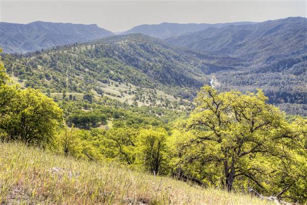 Cache Creek Wilderness (1/6/2015 - Credits: "BLM Winter Bucket List #14 Cache Creek Natural Area, California, for Eagle Hikes" by Bob Wick for BLM (CC BY 2.0)[https://creativecommons.org/licenses/by/2.0/legalcode] https://www.flickr.com/photos/mypubliclands/)
