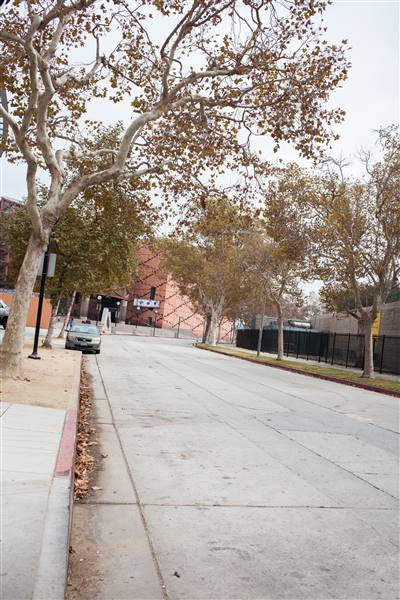 Roads and Surfaces at Exposition Park - Exposition Park Drive (10/13/2016 - Credits: Photo by Gillian Bissonnette (C) CFC)