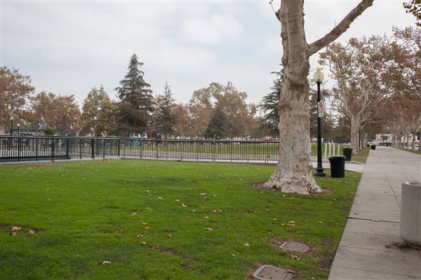 Christmas Tree Lane East and West at Exposition Park (10/13/2016 - Credits: Photo by Gillian Bissonnette (C) CFC)