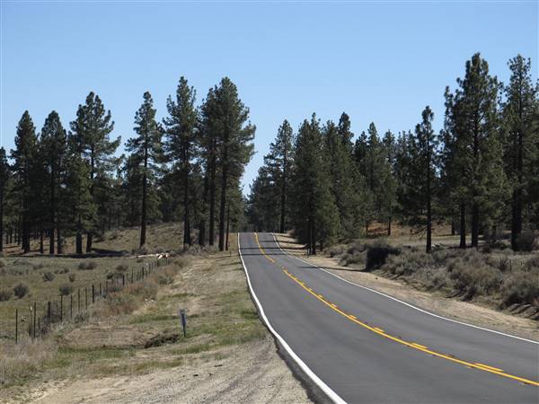 Highway 74 - Palms to Pines Scenic Byway (10/17/2016 - Credits: "Pines to Palms Scenic Byway, Near Idyllwild, California" by Ken Lund (CC BY-SA 2.0)[https://creativecommons.org/licenses/by-sa/2.0/legalcode]https://www.flickr.com/photos/kenlund/)