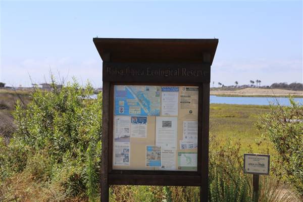 Bolsa Chica Ecological Reserve - California Department of Fish & Wildlife (CDFW) (10/18/2016 - Credits: Photo courtesy of Kris Bunting)