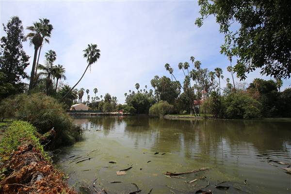 Los Angeles County Arboretum (11/3/2016 - Credits: Photo courtesy of Kris Bunting)