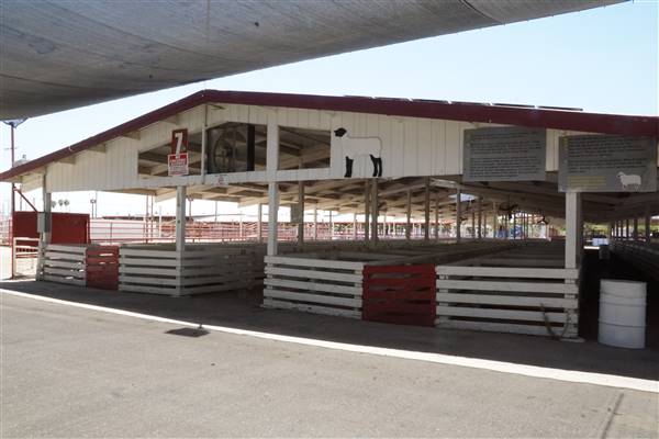 Kern County Fair - 15th DAA - Various Barn and Livestock Areas (11/7/2016 - Credits: Barns & Livestock Area - Photo courtesy of Kern County Fair)